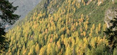 Rüyada Aynada Kendini Genç Ve Güzel Görmek