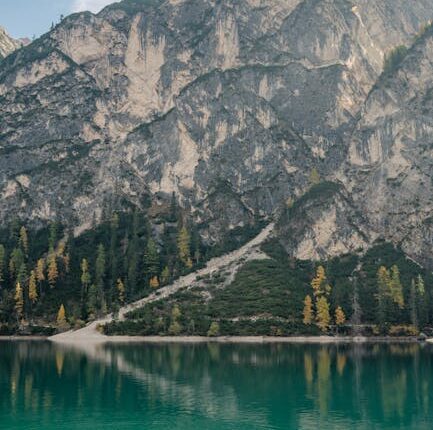 Rüyada Akrepten Kaçmak