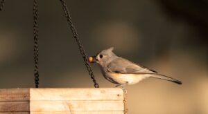Rüyada Birine Telefon Vermek