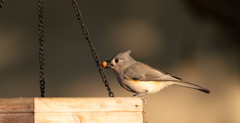 Rüyada Birine Telefon Vermek