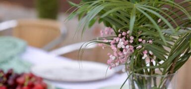 Rüyada Çilekli Dondurma Görmek