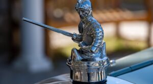 Rüyada Kılıç Çiçeği Görmek Rüyada Kılıç Çiçeği Görmek