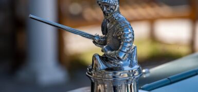 Rüyada Kılıç Çiçeği Görmek