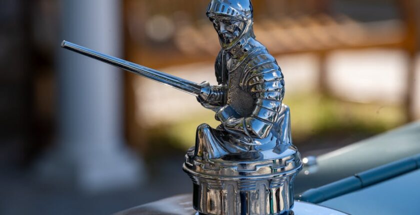 Rüyada Kılıç Çiçeği Görmek