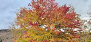 Rüyada Birine Kuran Öğretmek