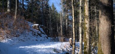 Rüyada Birine Soğuk Su Vermek