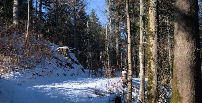 Rüyada Birine Soğuk Su Vermek