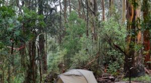 Rüyada Dayak Yiyen Adam Görmek