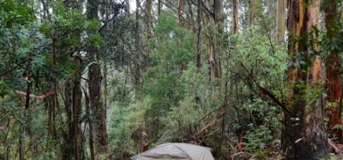 Rüyada Dayak Yiyen Adam Görmek