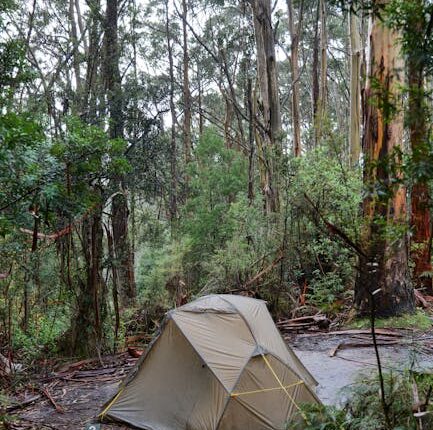 Rüyada Dayak Yiyen Adam Görmek