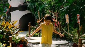 Rüyada Balonla Oynamak