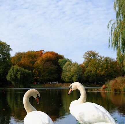 Rüyada Kuş Pisliği Görmek