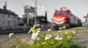Rüyada Sevgiliden Ayrılık Mesajı Almak Rüyada Sevgiliden Ayrılık Mesajı Almak
