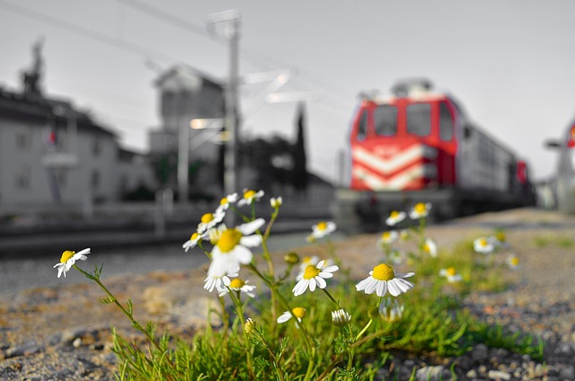 Rüyada Sevgiliden Ayrılık Mesajı Almak