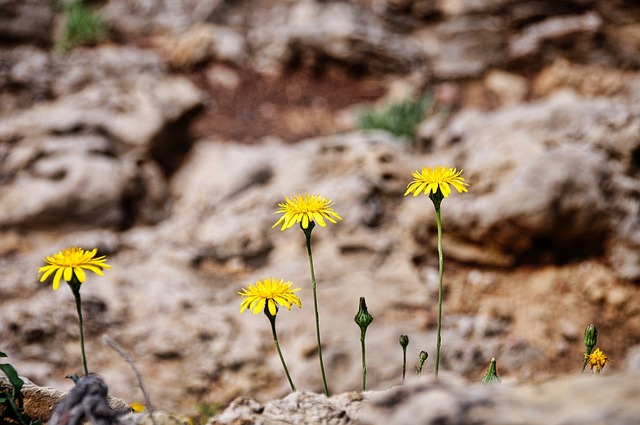Rüyada Tek Taş Yüzük Taşının Düşmesi