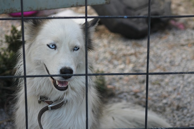 Rüyada Temiz Bulaşık Görmek