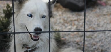 Rüyada Temiz Suyla Yüzünü Yıkamak