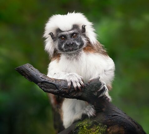 Rüyada Voleybol Topu Görmek