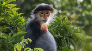 Rüyada Vücudu Traş Etmek