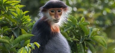 Rüyada Vücudu Traş Etmek