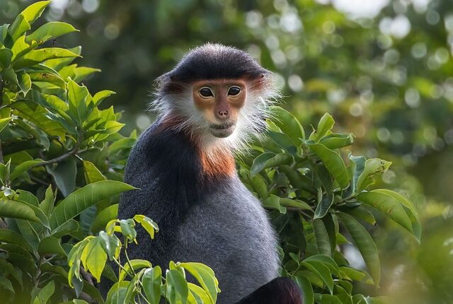 Rüyada Vücudu Traş Etmek
