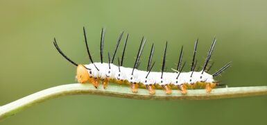 Rüyada Yakın Arkadaşla Küsmek