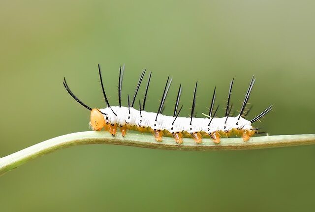 Rüyada Yakın Arkadaşla Tartışmak