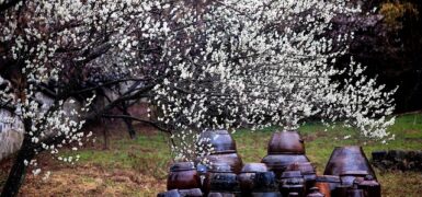 Rüyada Çamaşır Asan Kadın Görmek