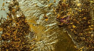 Rüyada Çamurlu Terlik Yıkamak