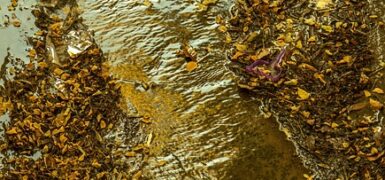 Rüyada Çamurlu Yokuş Çıkmak