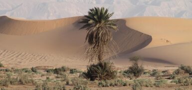 Rüyada Çamurlu Yolda Araba Sürmek