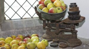 Rüyada Çil Görmek