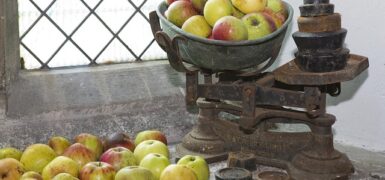 Rüyada Çil Görmek