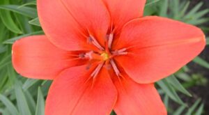 Rüyada Ölmüş Eşi Hasta Görmek