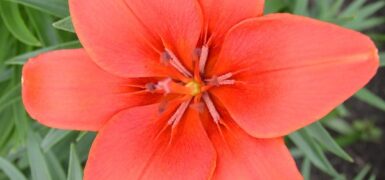 Rüyada Ölmüş Eşi Hasta Görmek