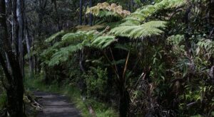 Rüyada İki Akrabanın Kavga Ettiğini Görmek