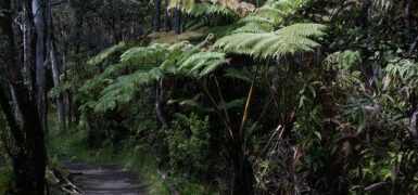 Rüyada İki Akrabanın Kavga Ettiğini Görmek