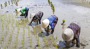 Rüyada İmplant Dişin Düşmesi
