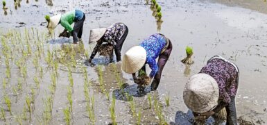 Rüyada İmplant Dişin Düşmesi