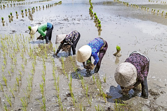 Rüyada İmplant Dişin Düşmesi Rüyada İmplant Dişin Düşmesi