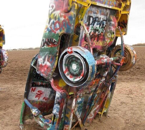 Rüyada İnsanın Kedi Doğurması