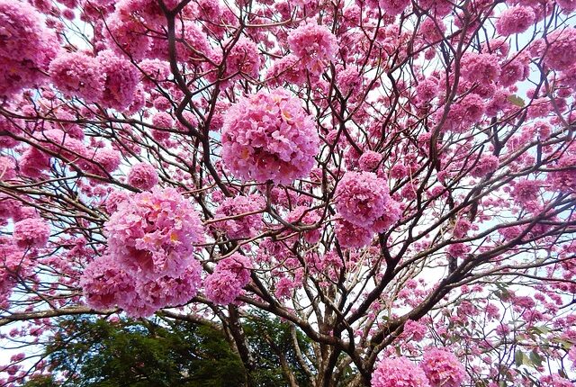 Rüyada İpe Düğüm Atmak