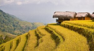 Rüyada Şişelere Su Doldurmak