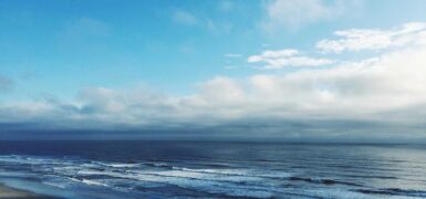 Rüyada Bebek Maması Görmek