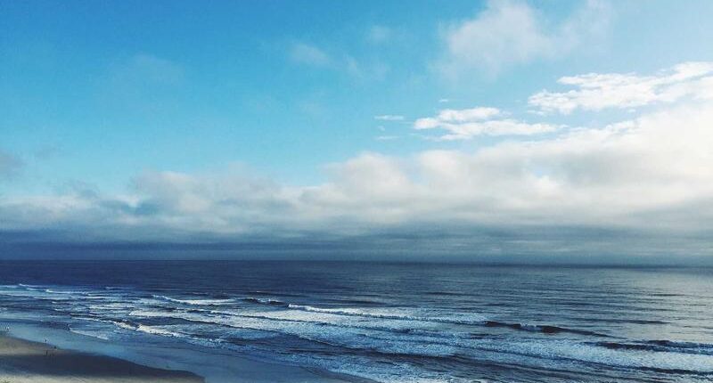 Rüyada Bebek Maması Görmek