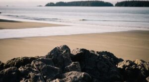 Rüyada Bebek Puseti Görmek