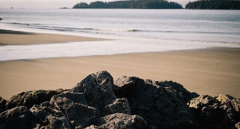 Rüyada Bebek Puseti Görmek