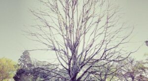 Rüyada Bebek Tekmelemesi