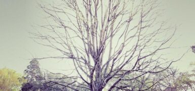 Rüyada Bebek Tekmelemesi