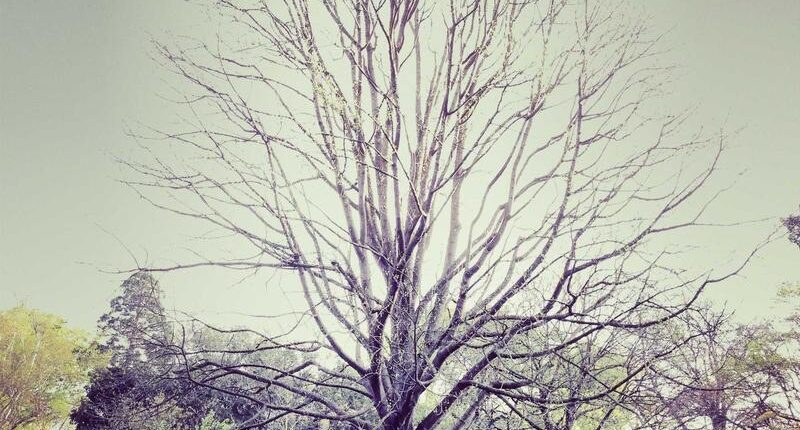 Rüyada Bebek Tekmelemesi